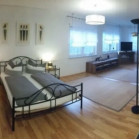 Apartmán Temizdemir Lahr (Baden-Wurttemberg)